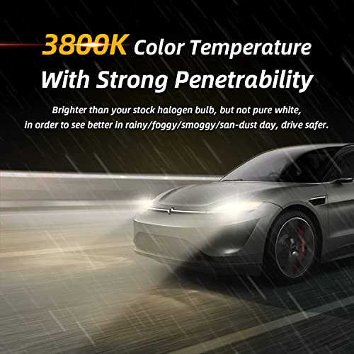 Sinoparcel H4/9003 Halogen Headlight Bulb High and Low Beam 3800K, 150% More Brightness Replacement for Standard 60W/55W Bulb, Pack of 2 - Image 3