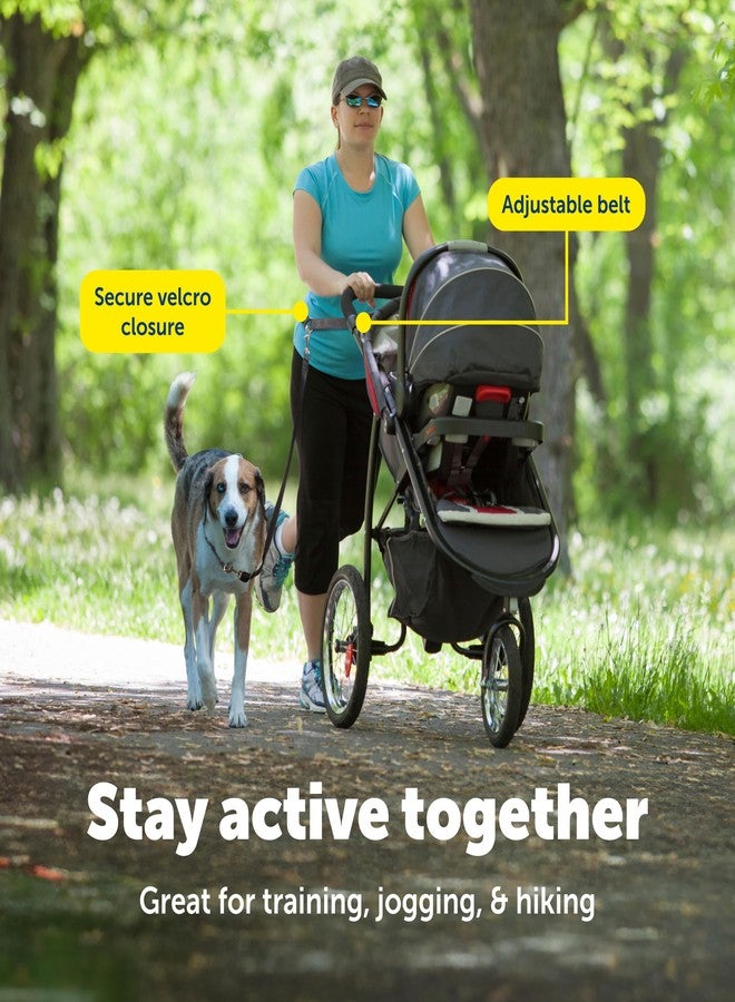 بيت سيف طوق كلاب قابل للتعديل من بيت سيف، يُلبس حول الخصر - مثالي للجري والمشي والتنزه - أسود - Image 4