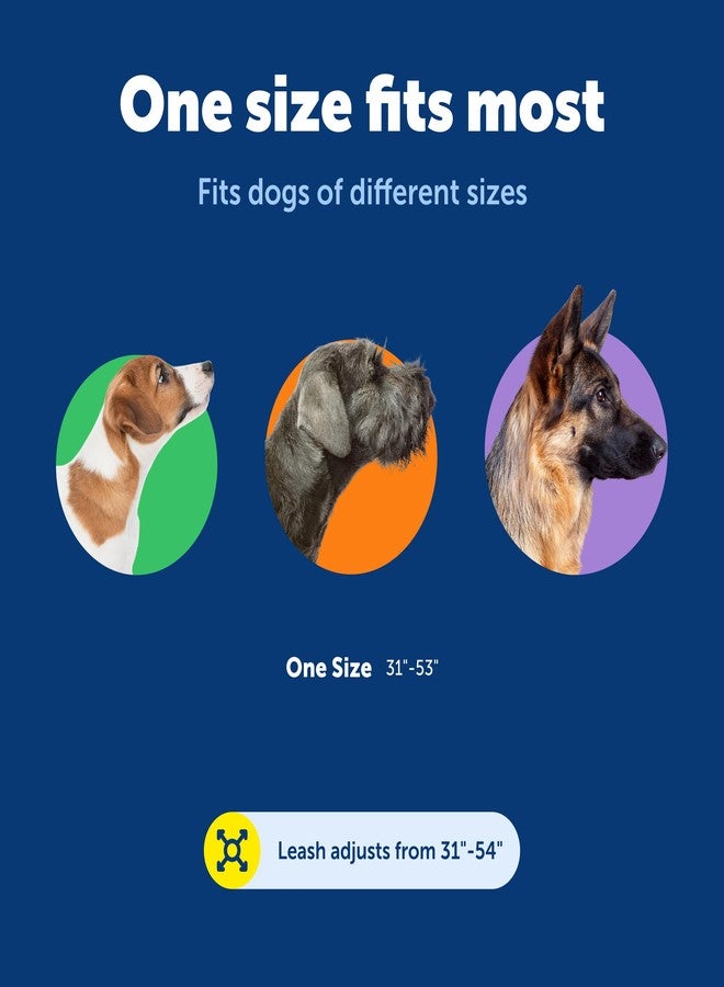 بيت سيف طوق كلاب قابل للتعديل من بيت سيف، يُلبس حول الخصر - مثالي للجري والمشي والتنزه - أسود - Image 5