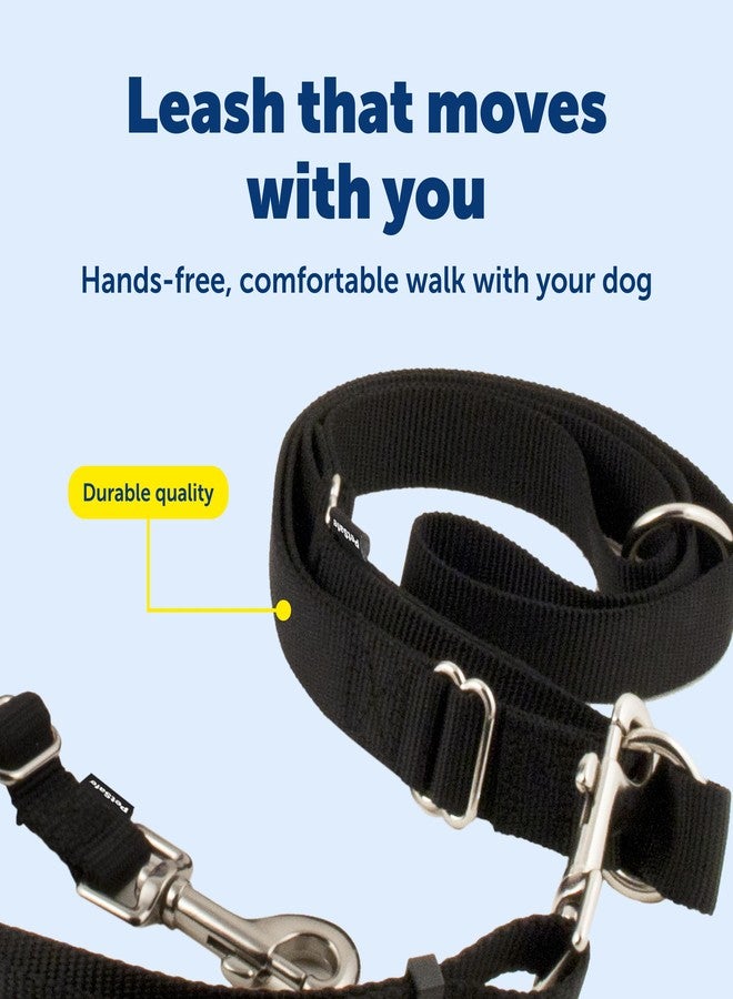 بيت سيف طوق كلاب قابل للتعديل من بيت سيف، يُلبس حول الخصر - مثالي للجري والمشي والتنزه - أسود - Image 3