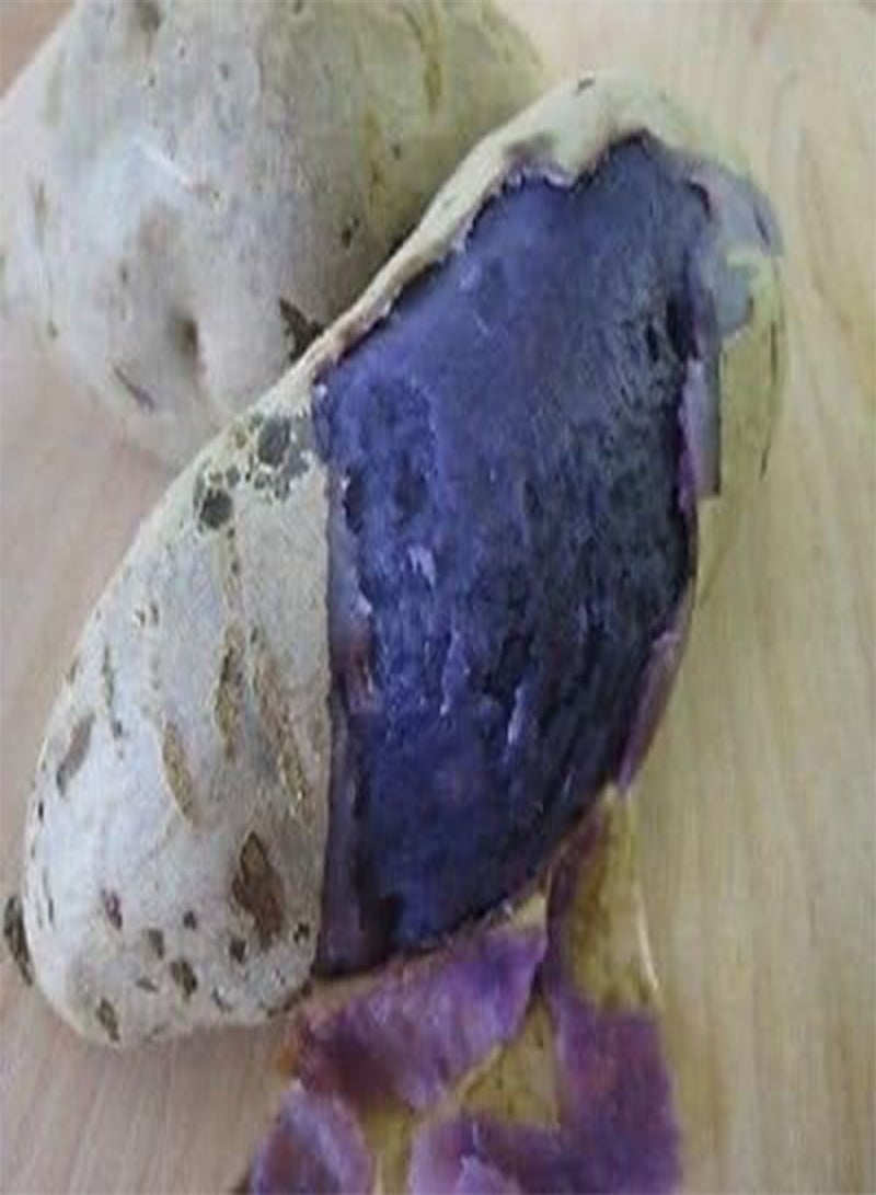 purple yam, Japanese purple potato or Japanese Sweet Potato