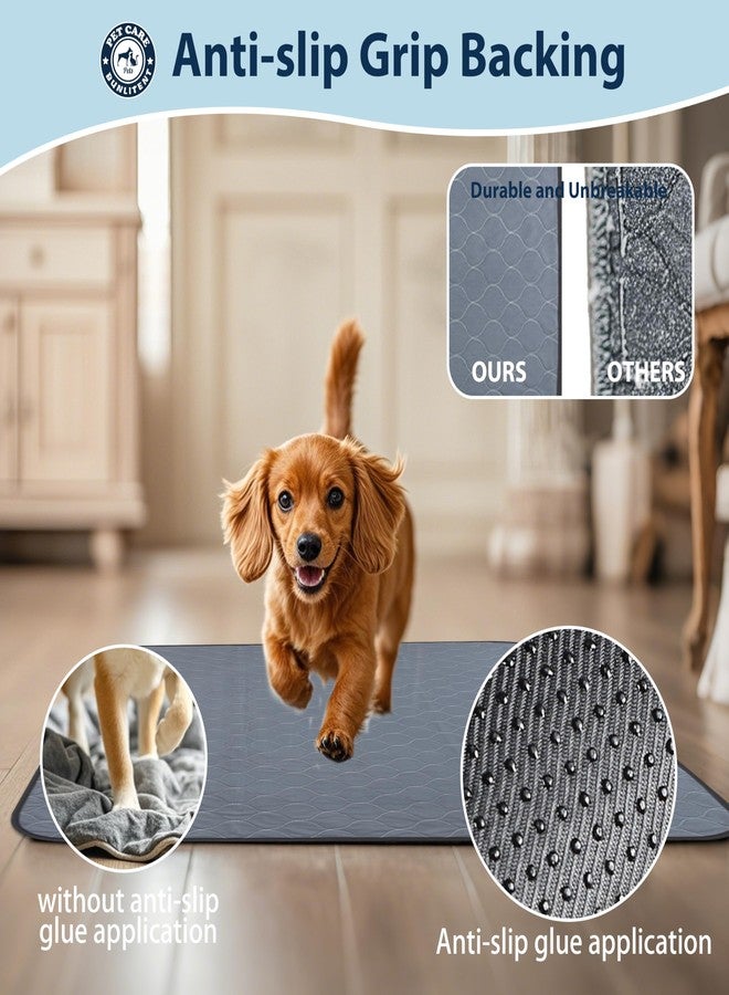 Bunlitent Washable Pee Pads for Dogs, 34x36 Reusable Puppy Pads with Fast Absorbent, Waterproof Reusable Pee Pads for Whelping, Traing, Incontinence and Potty, 3 Pack, Grey. - Image 2