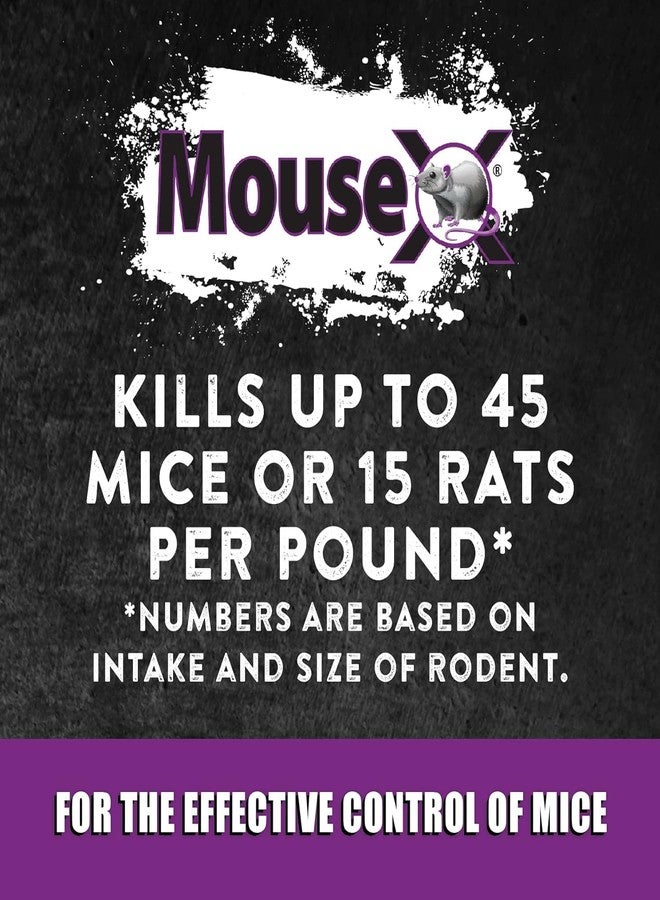 MouseX Throw Packs- for All Species of Rats Mice Safe Around Pets- Pack of 2 - Image 5