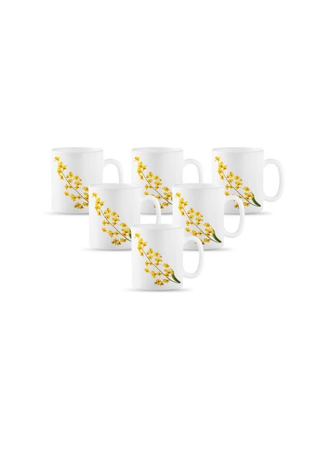 La Opala La Opala Diva, Opal Glass Coffee Mug Set Cylinder Regular 6 pcs, Yellow Grace, White, Standard  - Image 1