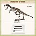 VIBIRIT Dig Up Dinosaurs Skeleton SetDinosaur Digging Fossil Kit Model ToysExcavation Kits for kids512yearEducational Realistic Toys for KidsBoysGirls - Image 3