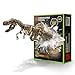 VIBIRIT Dig Up Dinosaurs Skeleton SetDinosaur Digging Fossil Kit Model ToysExcavation Kits for kids512yearEducational Realistic Toys for KidsBoysGirls - Image 2