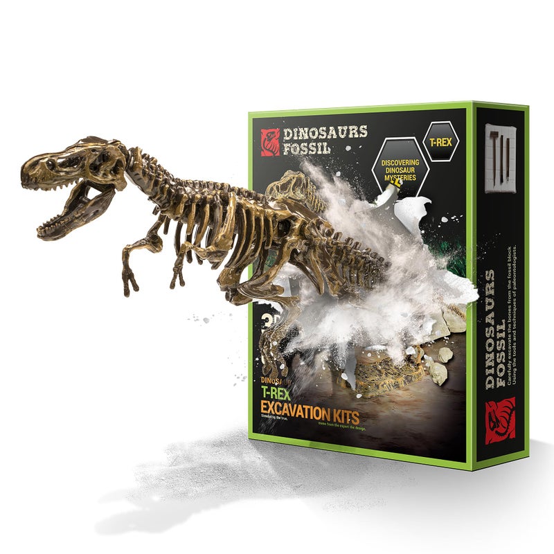 VIBIRIT Dig Up Dinosaurs Skeleton SetDinosaur Digging Fossil Kit Model ToysExcavation Kits for kids512yearEducational Realistic Toys for KidsBoysGirls - Image 4