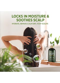 Roycederm Roycederm Tea Tree Therapeutic Conditioner: Hydrating Conditioner for Itchy, Flaky Scalp - Soothing Botanical Formula with Tea Tree, Aloe, Camellia Seed Oil, Paraben & Sulfate Free  - Image 4