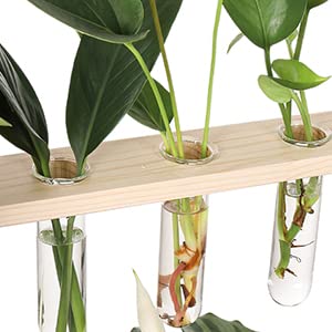 YIBOT Glass Plant Propagation Tubes Accessories Glass Test Tubes Tiered Planters Wall Terrarium for Home Office Plant Hanger Flower Vases Wall Decor Hydroponic Cuttings (5 Tube Vases) Clear - Image 3