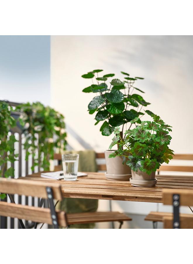 erorex Artificial Potted Plant, In/Outdoor Aralia, 12 Cm - Image 3