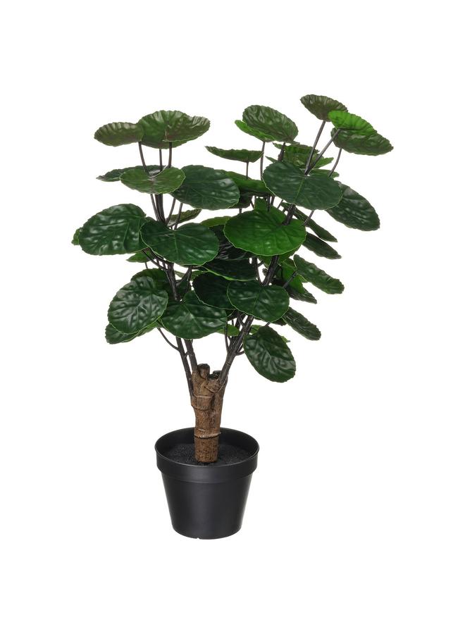 erorex Artificial Potted Plant, In/Outdoor Aralia, 12 Cm - Image 1