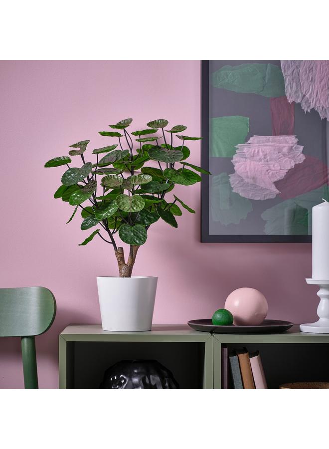 erorex Artificial Potted Plant, In/Outdoor Aralia, 12 Cm - Image 2