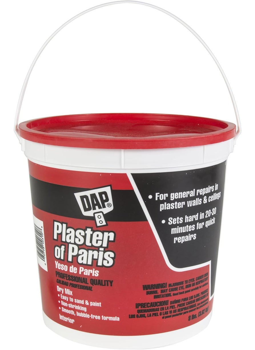 Dap DAP White Plaster of Paris 8 lb 