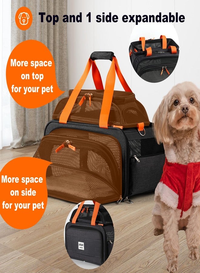 pidipiti 17x12.5x8.5 TSA Approved Expandable pet Carrier for Extra-Small Dog Under 6 lbs,Small-Medium cat Under 8 lbs,for jetblue and Other Airlines only Have 8.5'' Height Space underseat - Image 4