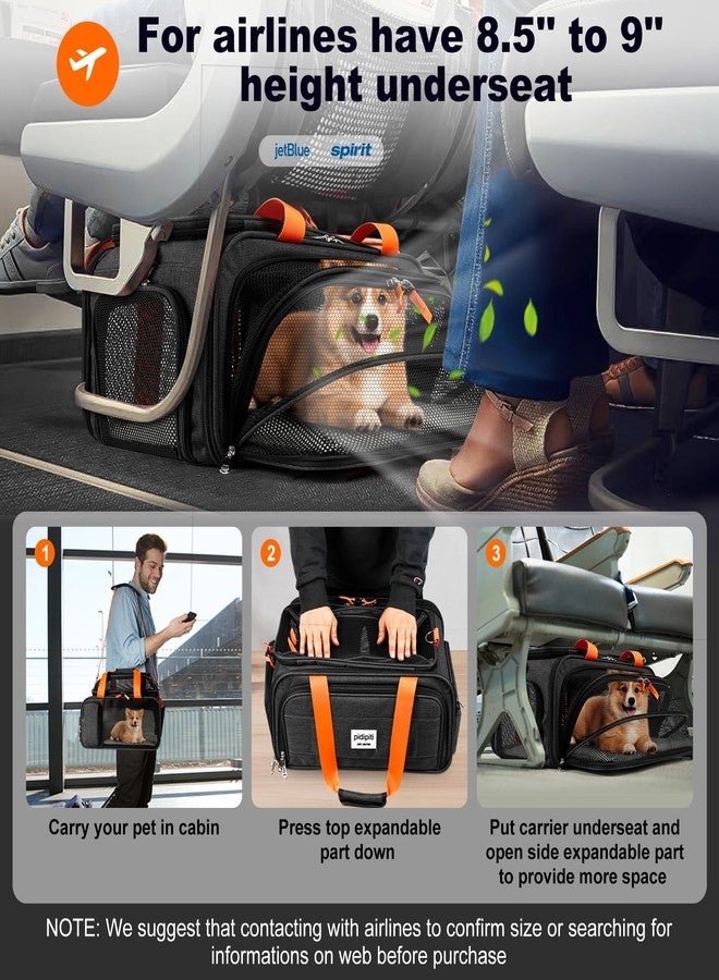 pidipiti 17x12.5x8.5 TSA Approved Expandable pet Carrier for Extra-Small Dog Under 6 lbs,Small-Medium cat Under 8 lbs,for jetblue and Other Airlines only Have 8.5'' Height Space underseat - Image 2
