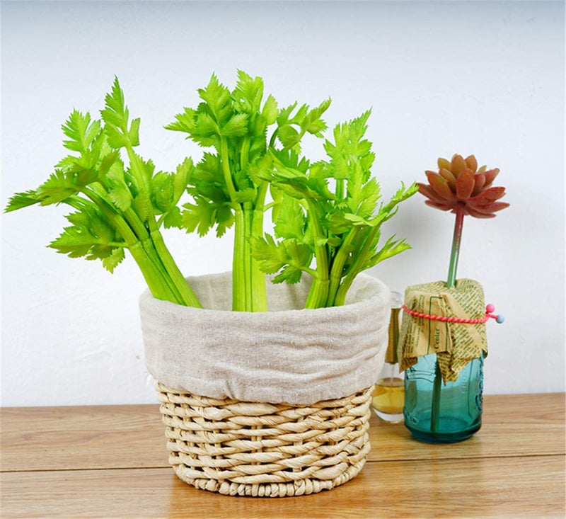 Zzooi Artificial Celery with Leaves for Cabinet Showcase Decoration 1PCS - Image 1