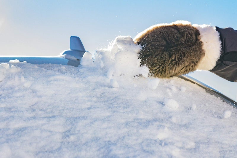 SubZero 13929 Faux Fur Ice Scraper Mitt for Car, SUV, Trucks - Image 1