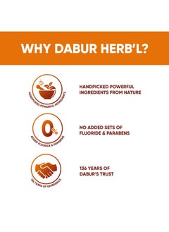 Dabur Herb'L Clove Cavity Protection Toothpaste - 200G | No Added Fluoride & Parabens | For Strong & Healthy Teeth | Fights Bacteria & Relieves Dental Pain | Provides Pleasant Mouthfeel After Brushing  - Image 3