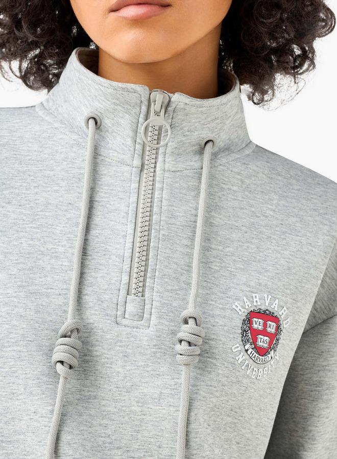 SP Characters Regular Fit Sweatshirt with Harvard University Detail - Image 4
