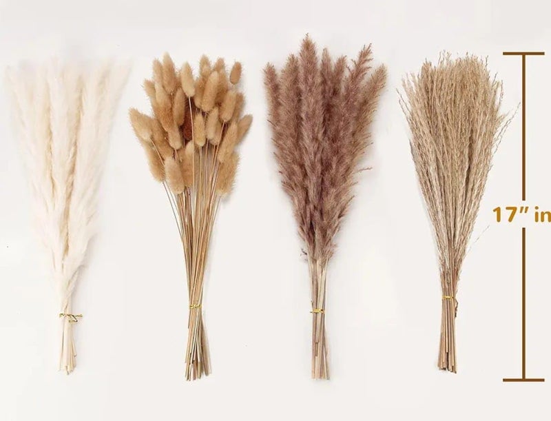 VRB Dec 95 Pcs Set 17inch Natural Dried Pampas GrassReal Rabbit Bunny TailReed PampasBoho BouquetArtificial Flowers Decor for Table Vase Home Decoration 95 Pcs Dried Flower Set - Image 2