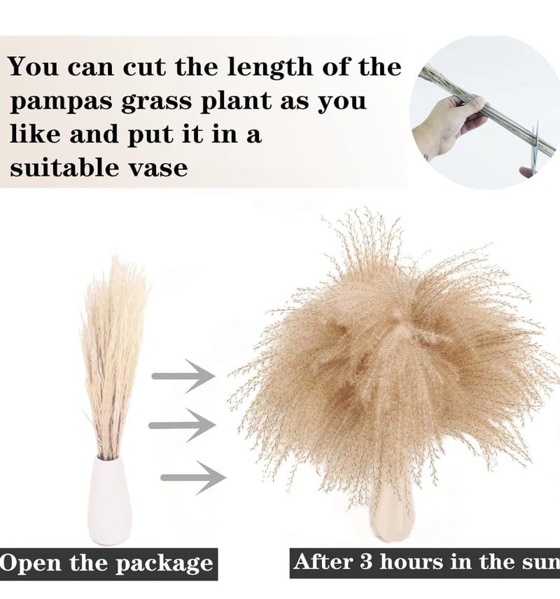 VRB Dec 95 Pcs Set 17inch Natural Dried Pampas GrassReal Rabbit Bunny TailReed PampasBoho BouquetArtificial Flowers Decor for Table Vase Home Decoration 95 Pcs Dried Flower Set - Image 5