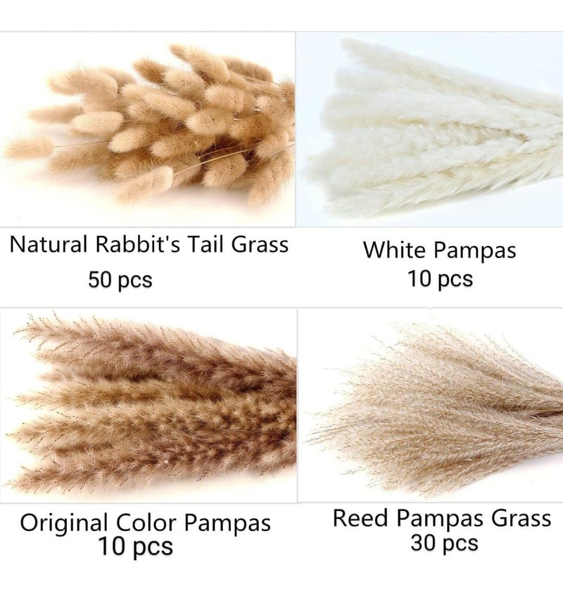 VRB Dec 95 Pcs Set 17inch Natural Dried Pampas GrassReal Rabbit Bunny TailReed PampasBoho BouquetArtificial Flowers Decor for Table Vase Home Decoration 95 Pcs Dried Flower Set - Image 3