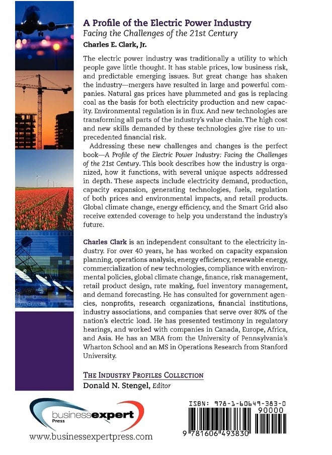 A Profile of the Electric Power Industry  - Image 2