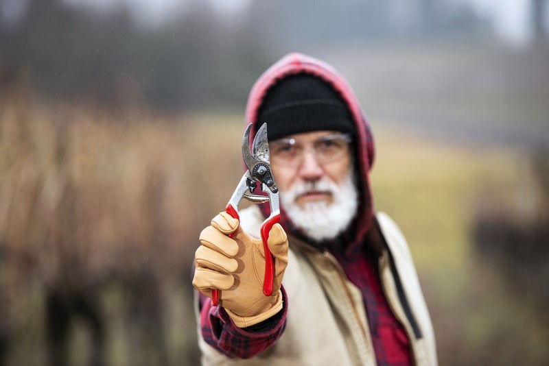 Felco Pruning Shears (F 13) - High Performance Swiss Made One-Hand or Two-Hand Garden Pruner with Steel Blade - Image 5