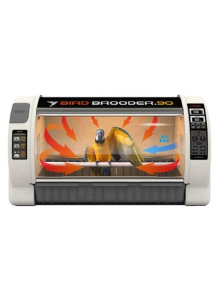 Bird Brooder 90cm Large Intensive care unit for Birds and Newborn Chick and Small Sick Chick - pzsku/ZB36C9F4A4E747CF835DBZ/45/_/1657695393/6a37cbfc-b2c8-488c-b661-b3a32d614135