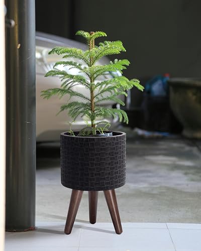 D'vine Dev 8 Inch Modern Geometric Tile Patterned Sleek Planter Pot with Stand, Indoor Outdoor Decorative Plant Holder, Distressed Black, 88-Z-A-5 - Image 2