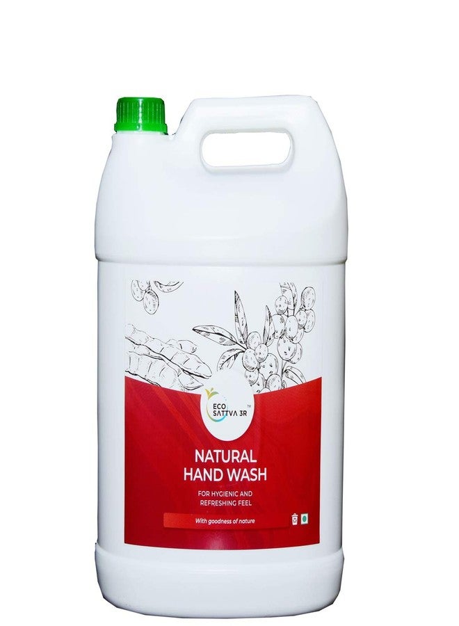 EcoSattva 3R Natural Hand Wash 5L | Natural & Organic - Image 1