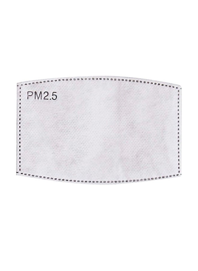 NIBEMINENT PM2.5 Activated Carbon Mask Filter - Image 1