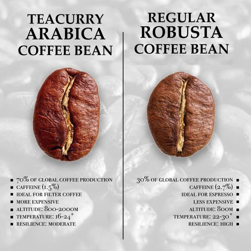 TEACURRY Arabica Roasted Coffee Beans Jar Whole (50 Grams)-Medium Roast With Rich Flavor And Aroma - Image 4