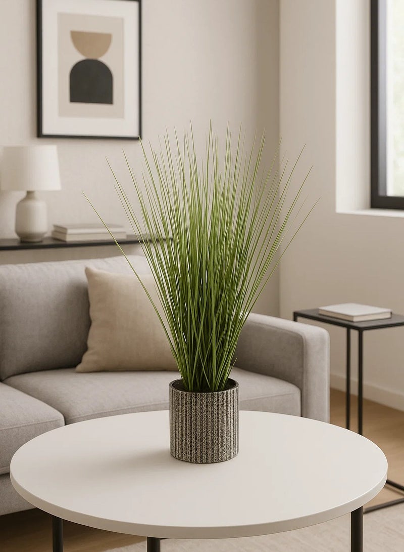 لوفت بصل، عشب، D24XH45.5CMS، أخضر-160035 - Image 1