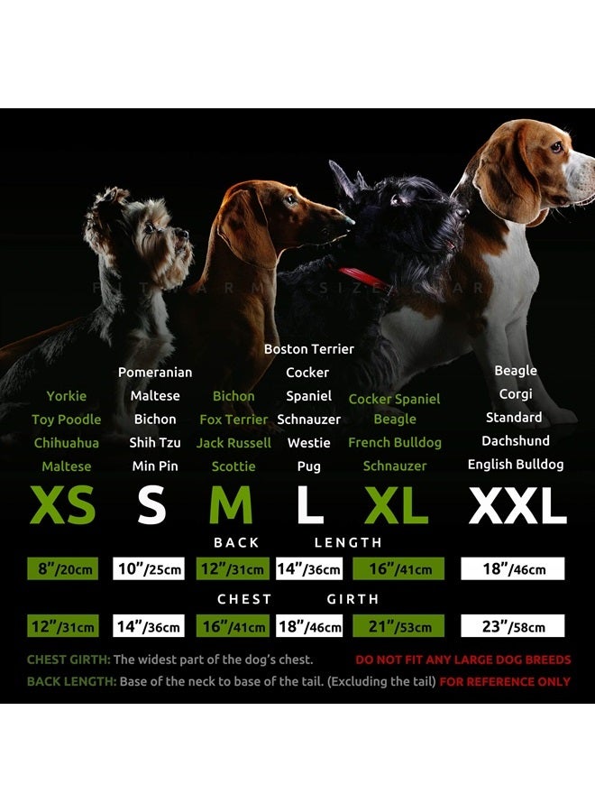 Fitwarm 2 Pack UPF 50+ UV Sun Protection Dog Shirt, Lightweight Breathable Cooling Vest, Quick Dry Dog Summer Clothes for Small Dogs Boy Girl, Reflective Label Pet Cat Outfit, Pink, Large - Image 1