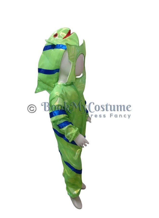 بوك ماي كوستيوم - زي تنكري للأطفال من BookMyCostume على شكل نجمة البحر ونجمة البحر وحيوان مائي، مناسب للأطفال من عمر 3 إلى 4 سنوات - Image 1