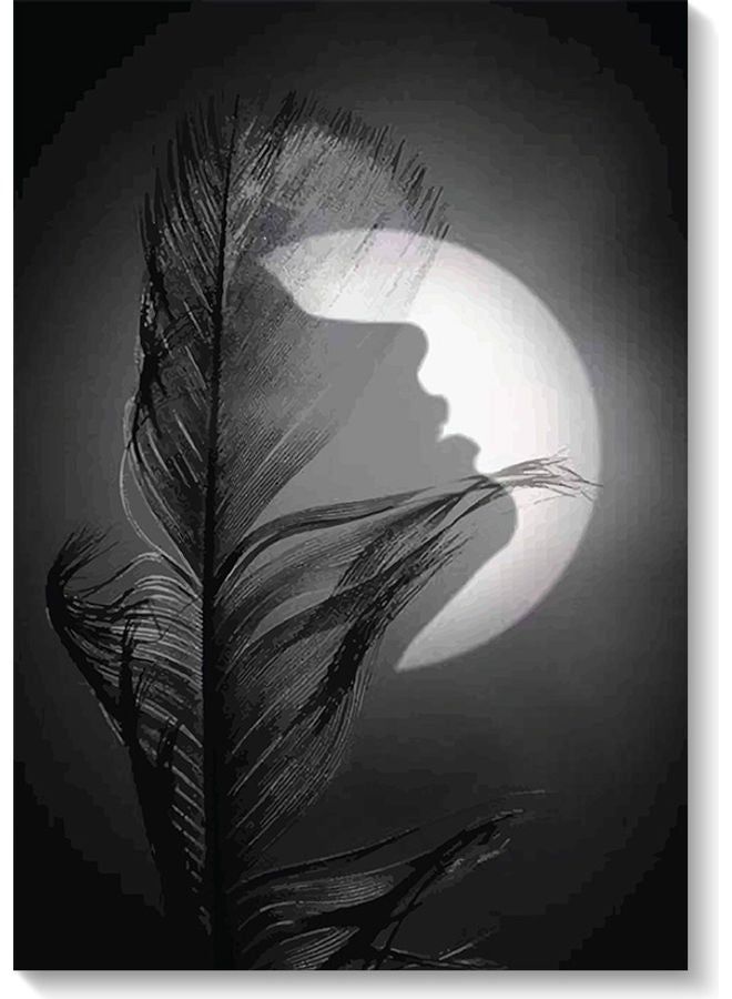 RYN فن الجدار للمرأة والقمر أسود/أبيض 40x60 سم - Image 2