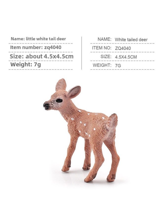 Generic Export Simulation Forest Animal Model Beaver Anteater Squirrel Monkey Rabbit White-tailed Deer Small Fox Toy-Color:M4040 Small White Deer 7g  - Image 1