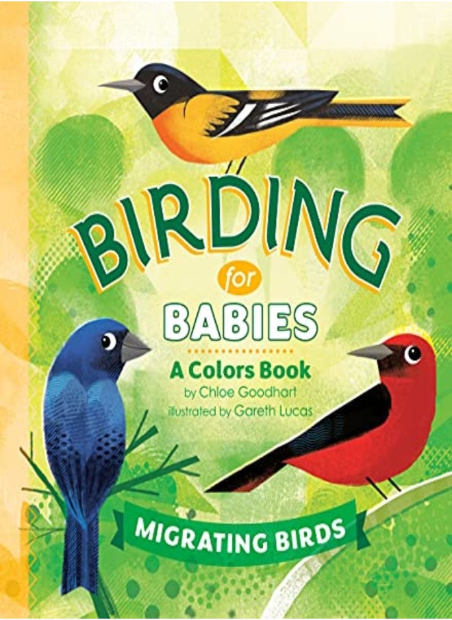 BIRDING FOR BABIES MIGRATING BIRDS 