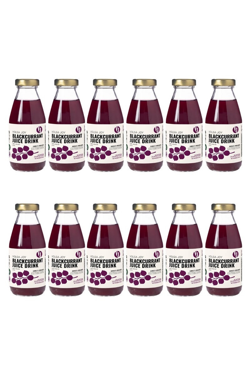 Volga Joy عصير فولغا جوي من الكشمش الأسود (مضاف إليه سكر) عبوة من 12 × 300 مل - Image 1