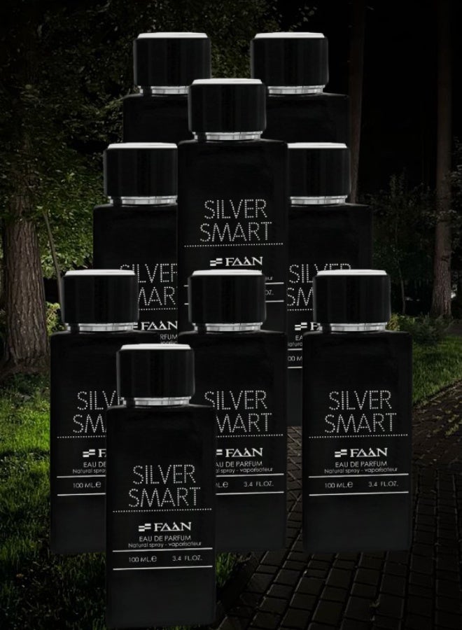 فاان 9 قطع عطر سيلفر سمارت 100مل - Image 1