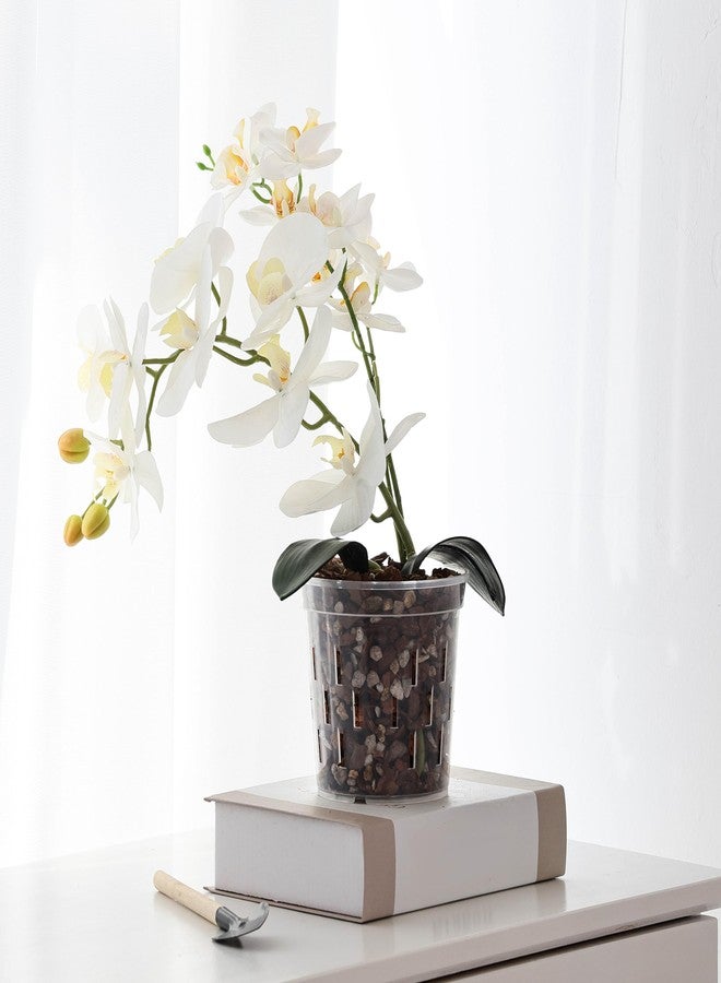 TRUEDAYS Orchid Pot - 4 Pack 4 Inch Clear Orchid Pots with Drainage Holes for Repotting - Ideal for Healthy Root Growth - Sturdy Plastic Plant Pot for Indoor & Outdoor Plants - Image 5