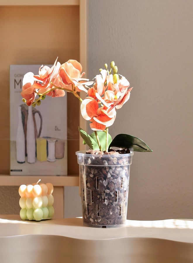 TRUEDAYS Orchid Pot - 4 Pack 4 Inch Clear Orchid Pots with Drainage Holes for Repotting - Ideal for Healthy Root Growth - Sturdy Plastic Plant Pot for Indoor & Outdoor Plants - Image 3