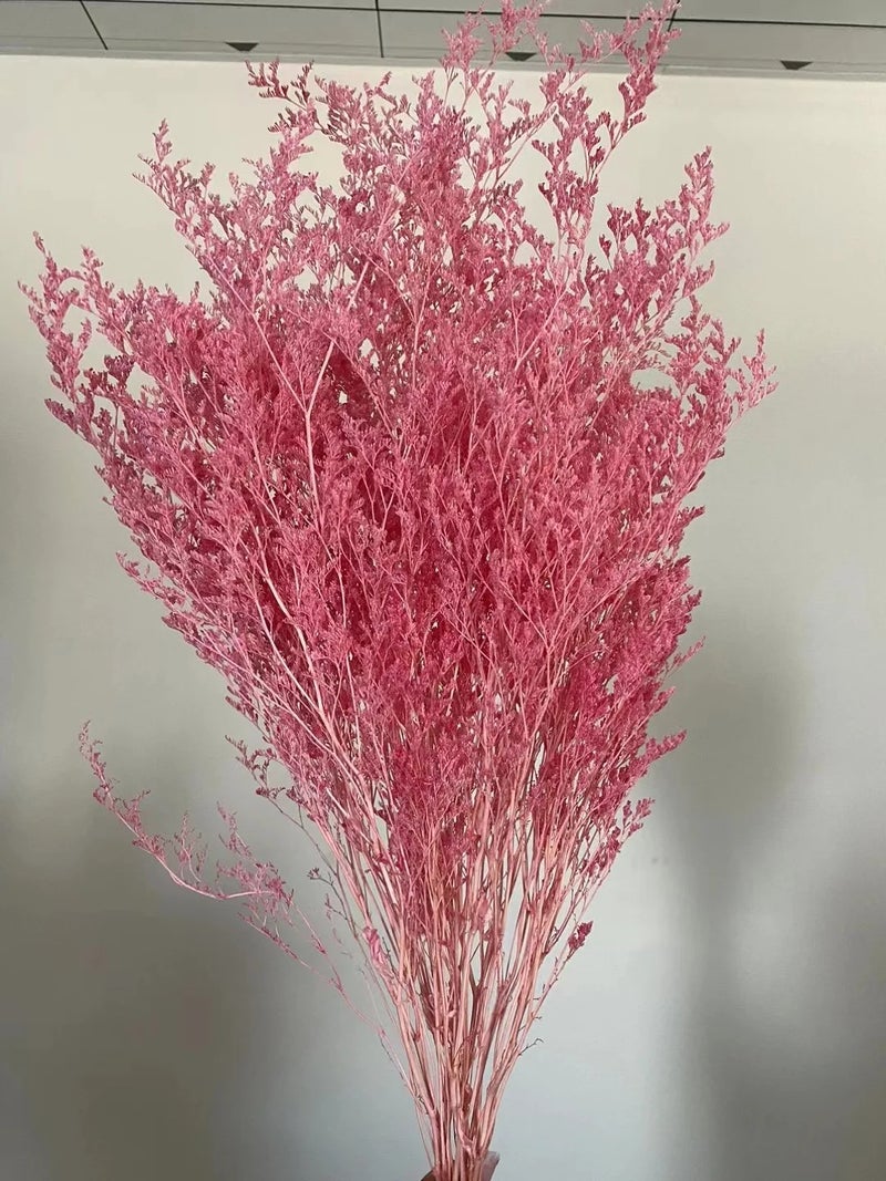 Bluejw Statice Caspia Dried Flowers - Misty Grass Preserved Limonium Sea Lavender for Wedding & Event Decor - Natural Dried Plants - Image 1