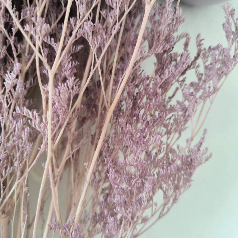 Bluejw Statice Caspia Dried Flowers - Misty Grass Preserved Limonium Sea Lavender for Wedding & Event Decor - Natural Dried Plants - Image 5