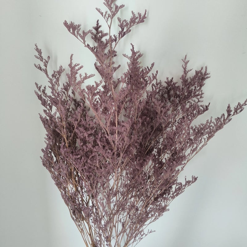 Bluejw Statice Caspia Dried Flowers - Misty Grass Preserved Limonium Sea Lavender for Wedding & Event Decor - Natural Dried Plants - Image 4