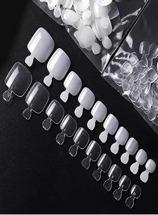 Brille Bee أطراف أظافر أكريليك لفن تزيين الأظافر، على الطراز الفرنسي، بأحجام متنوعة، 500 قطعة مع علبة (3N) - Image 1
