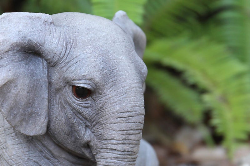 Hi-Line Gift Ltd Hi-Line Gift 87685-D Chubby Elephant Sitting - Image 5