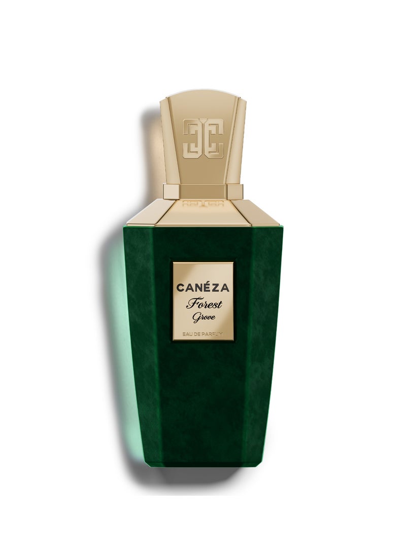 Canéza Forest Grove Eau de Parfum for Men & Women - Crisp Green Woody Scent with Matcha, Cedarwood & Sandalwood | Elegant Long-Lasting Fragrance | 100ML - Image 1