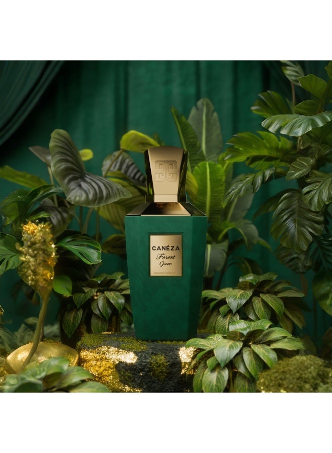 Canéza Forest Grove Eau de Parfum for Men & Women - Crisp Green Woody Scent with Matcha, Cedarwood & Sandalwood | Elegant Long-Lasting Fragrance | 100ML - Image 3